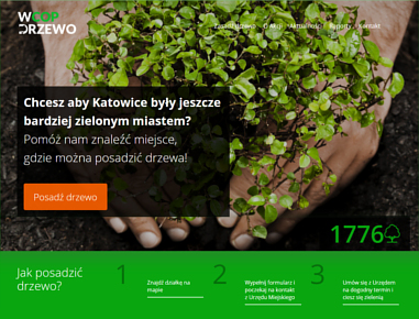 wCOP drzewo Katowice